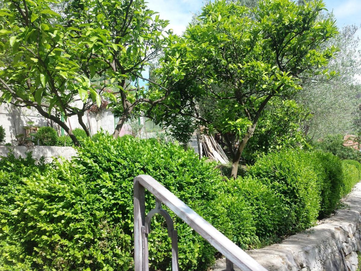 Hoxha Rooms Ulcinj Eksteriør billede