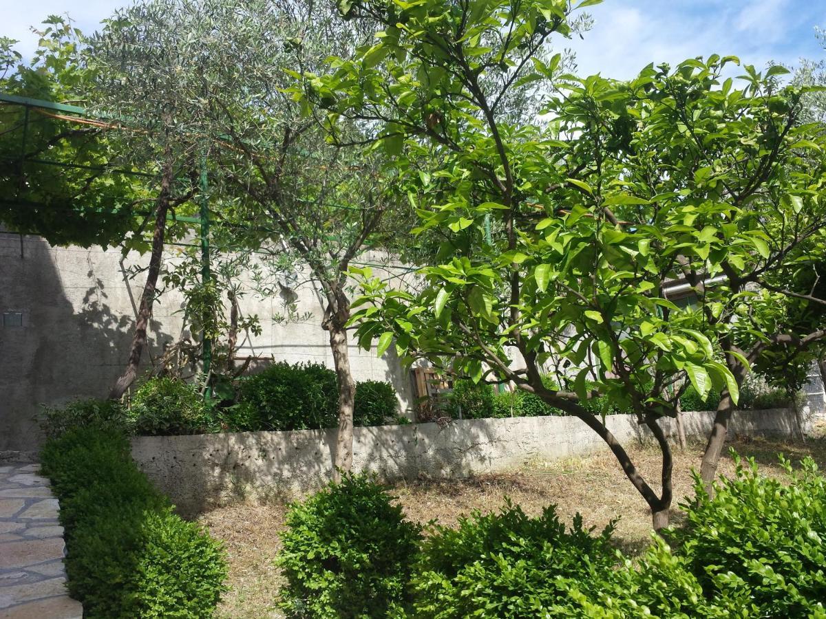 Hoxha Rooms Ulcinj Eksteriør billede
